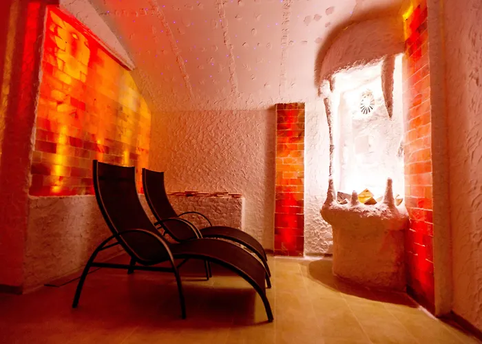 فندق Novapark Flugzeughotel غراتس